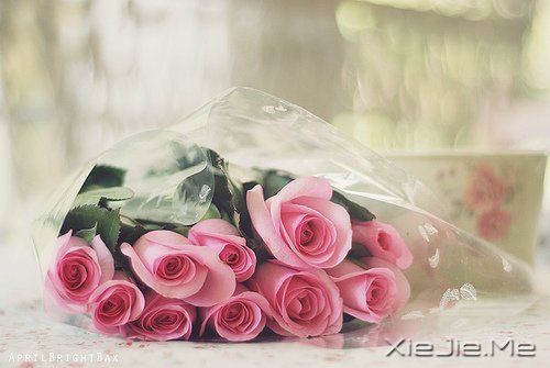 ZԸˮr (1)