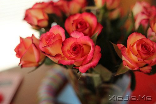 ZԸˮr (6)