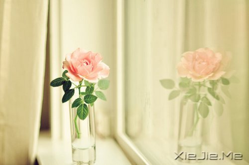 ZԸˮr (9)