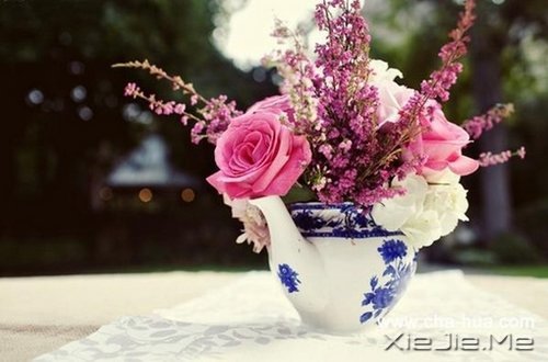 Z(y)^(gu)ؑ^(gu)ex (8)