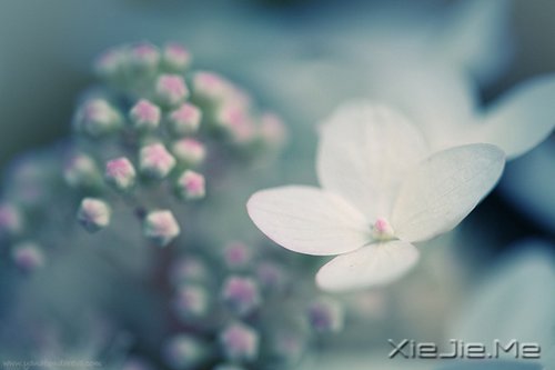 (jng)^Ļěܵ_(ni)ĵķA (3)