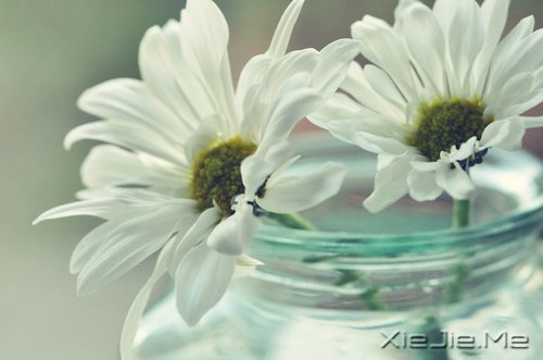(jng)^Ļěܵ_(ni)ĵķA (9)