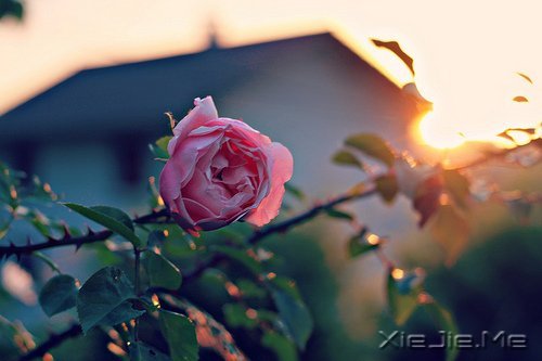 簲Z(y)Ҫؓ(f)õĳ (7)