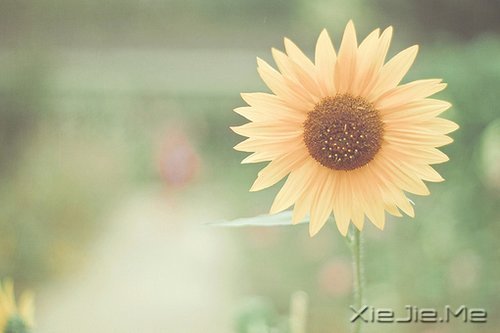 簲Z(y)Ҫؓ(f)õĳ (10)