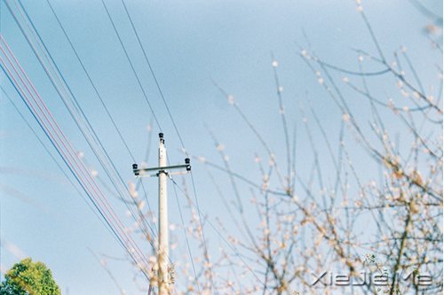 ߵĶĕr (7)