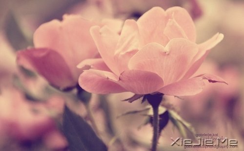 (du)δ(li)ǰһЫI(xin)oF(xin) (2)