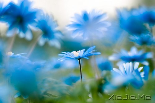 (du)δ(li)ǰһЫI(xin)oF(xin) (3)