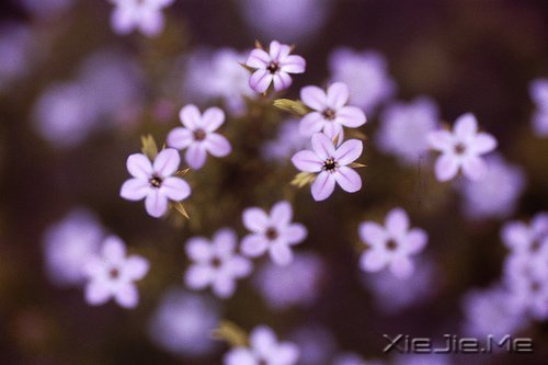 (du)δ(li)ǰһЫI(xin)oF(xin) (6)