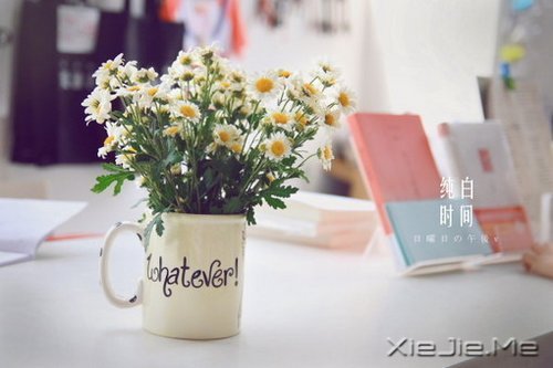 (du)δ(li)ǰһЫI(xin)oF(xin) (9)