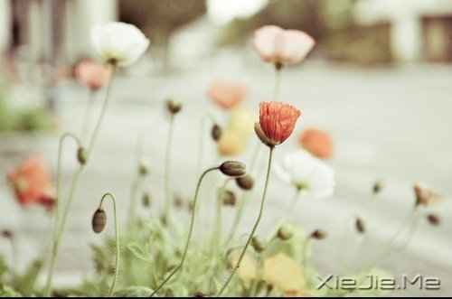 (du)δ(li)ǰһЫI(xin)oF(xin) (10)