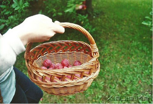 ܵĂֻ׌ԏ (2)