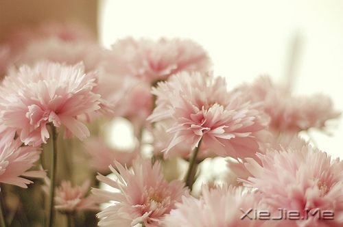 簲Z(y)̲ʹҊ(jin)Ҹ (3)