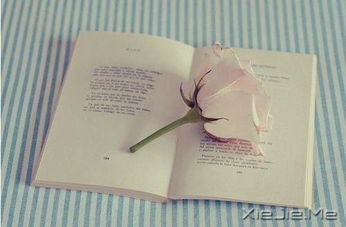 Z㶮ãՈϧ (5)