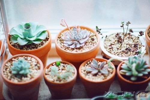 Z㶮Ոϧ (8)