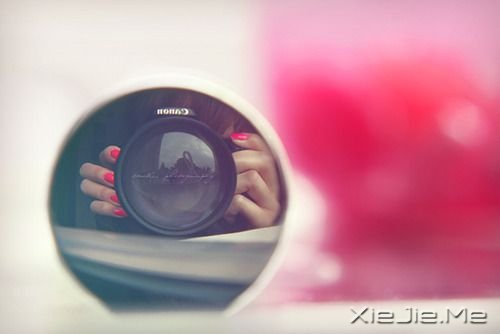 Z\ЦȻ (6)