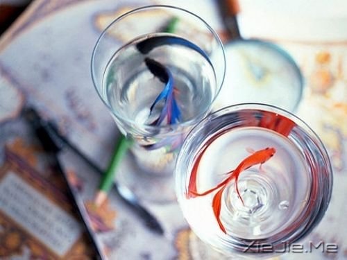 簲Z]ЂĺӱŬ (8)