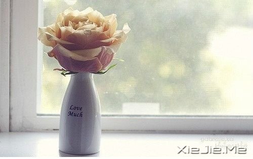 ZҵĈ(zh)?yn)ֵ?(5)