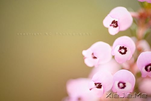 ZõҸoں (6)