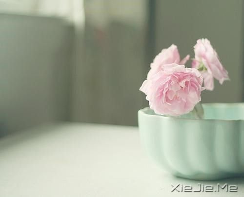 ZõҸoں (7)