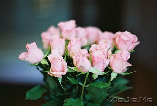 ZǗl·ߵ (3)