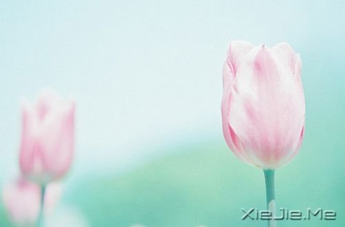 簲ZȻһNL(zhng) (10)