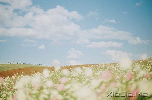 簲ZȻһNL(zhng) (6)
