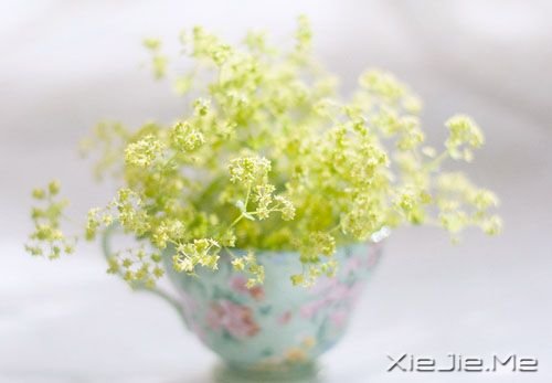 簲ZȻһNL(zhng) (2)