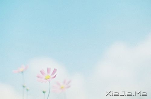 簲ZȻһNL(zhng) (3)