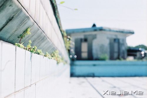 簲ZȻһNL(zhng) (7)