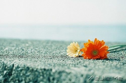 簲ZȻһNL(zhng) (8)