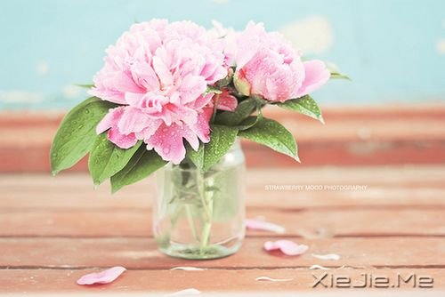 Z¸΢Ц挦 (6)