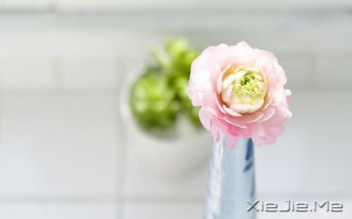 Z¸΢Ц挦 (9)