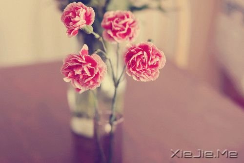 Zǻؑ^m(x) (5)