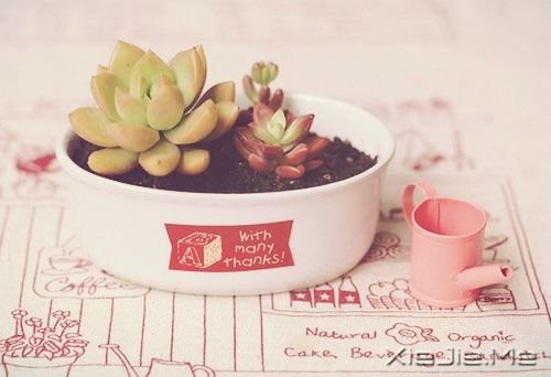 簲Z벻_Ͳ룬òͲҪ (10)