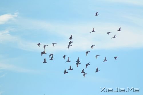 簲Zһǻؑһ^m(x) (8)