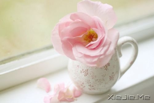 Zഺʹsxo (1)