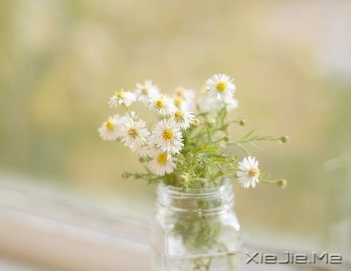 Zഺʹsxo (2)