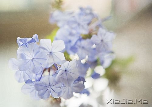 Zഺʹsxo (4)