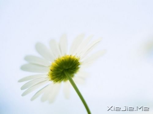 Zഺʹsxo (5)