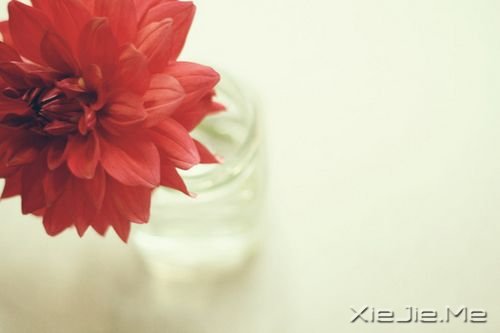 Zഺʹsxo (7)