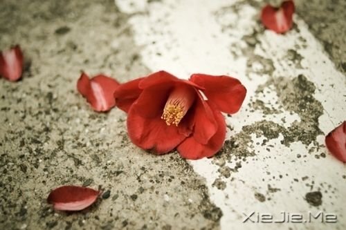 Zഺʹsxo (9)