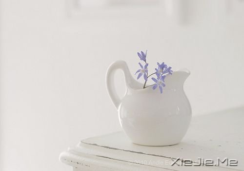 簲ZһSȥg (8)