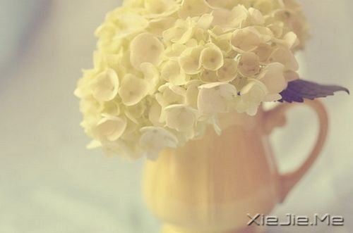 簲ZһSȥg (10)