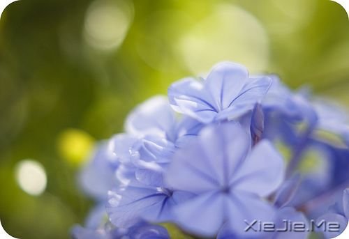 簲Z(y)ֻЦĺܚgnŲ(hu) (9)