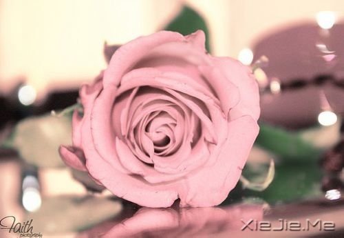 ZĜIˮĵ۾ֻһССĳ (6)