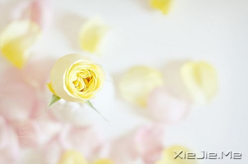 ZĜIˮĵ۾ֻһССĳ (8)