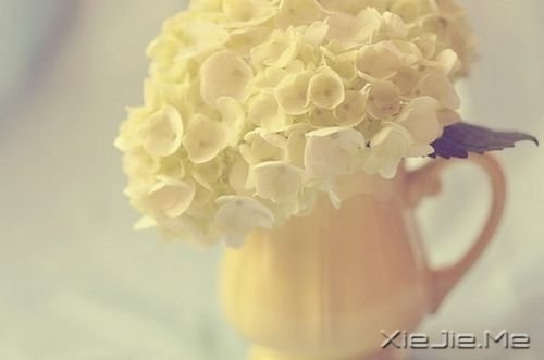 ZҲЌ (1)