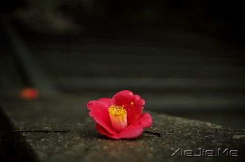 ZҲЌ (2)