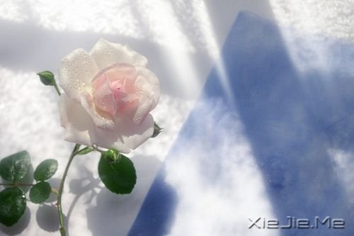 ZҲЌ (3)