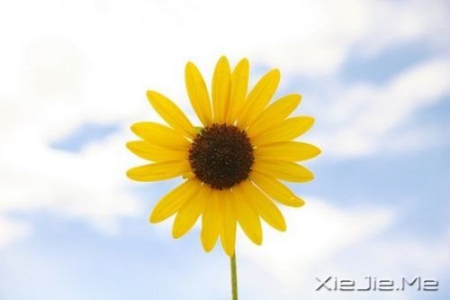 ZҲЌ (4)